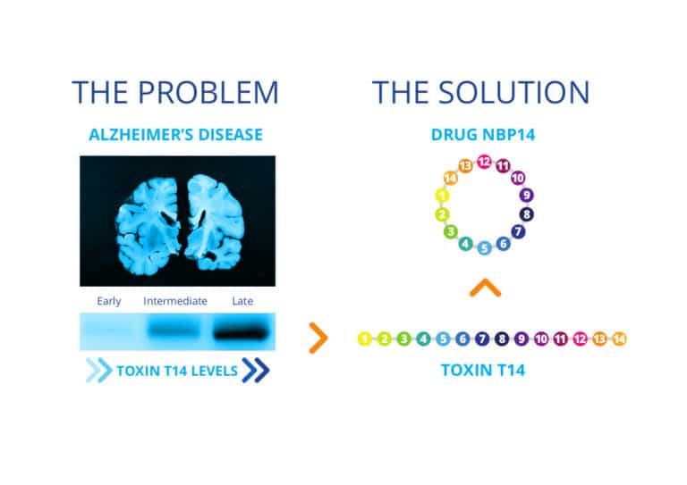 NeuroBio's novel drug shows effective in a mouse model of alzheimer's